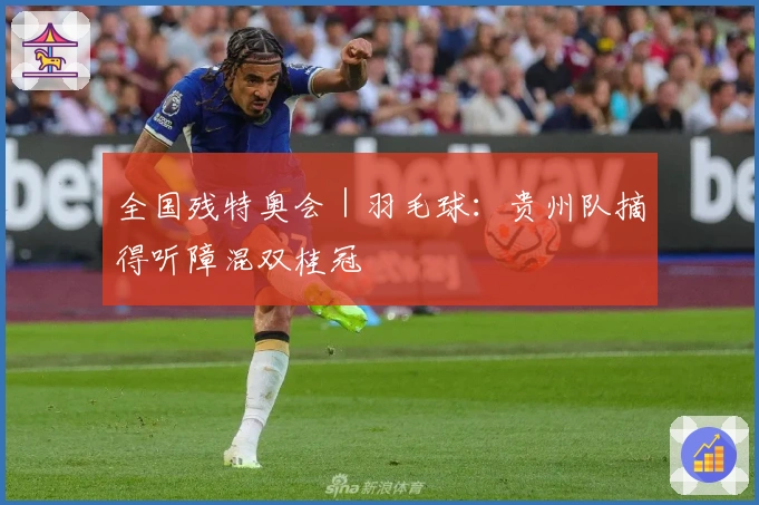 全国残特奥会｜羽毛球：贵州队摘得听障混双桂冠