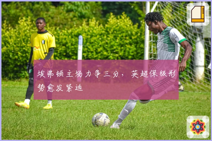 埃弗顿主场力争三分，英超保级形势愈发紧迫