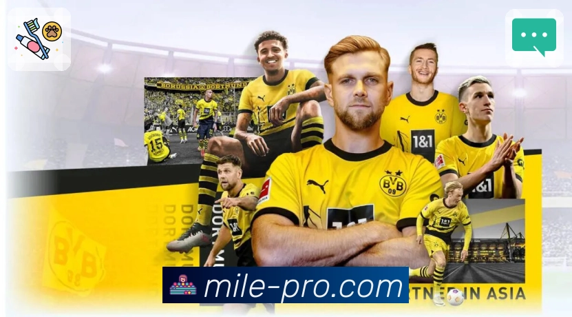 品牌荣誉的信任见证